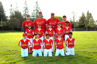 AA CARDINALS