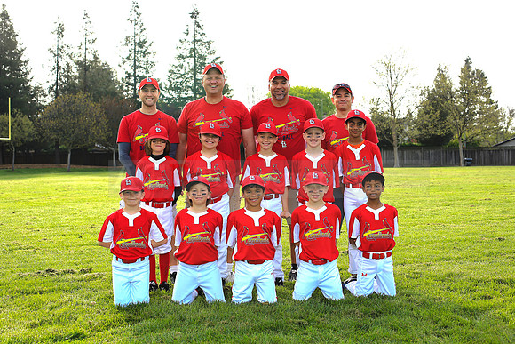 AACardinals064