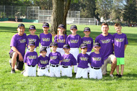 T-BALL BATS