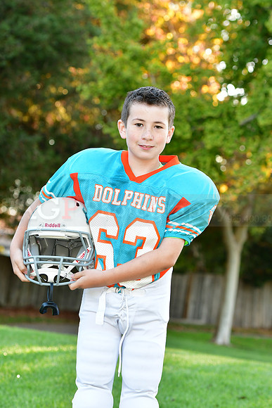 Dolphins103