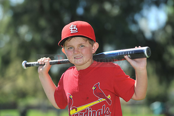 A_Cardinals074