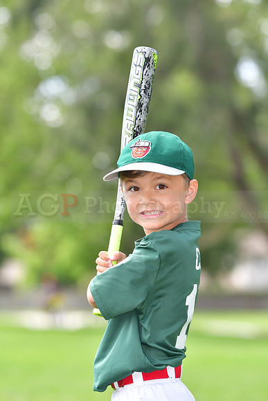 TBTincaps079