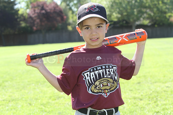 FMTimberRattlers062