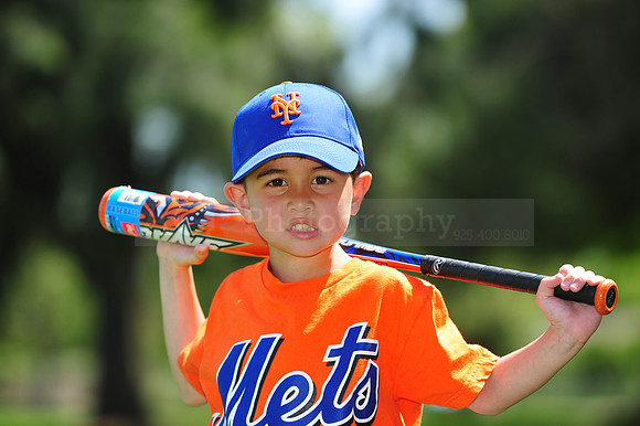 Farm_Mets034