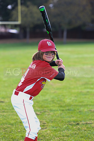 AACardinals034