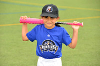 SB_TB_Ironbirds00017