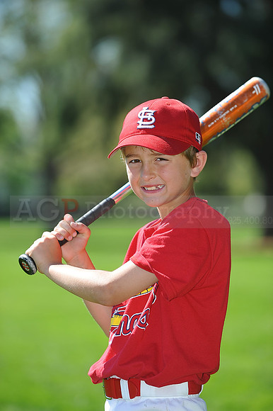 AA_Cardinals073