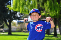 FMCubs004