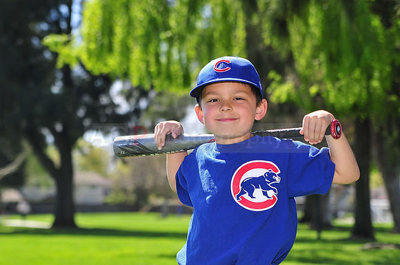 FMCubs004