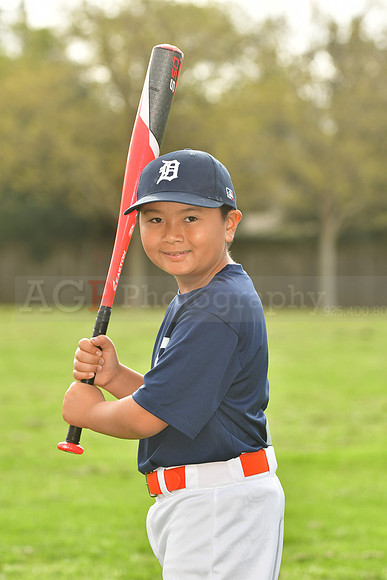 AATigers010