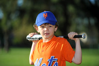 A_Mets007