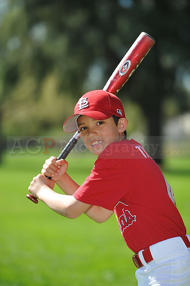 AA_Cardinals060