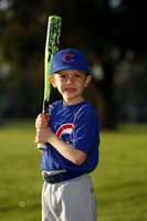 FarmCubs012