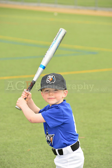 SB_TB_Ironbirds00067