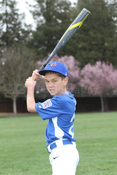 AAABlujays084