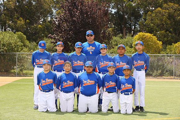 SB_BR_Mets00078