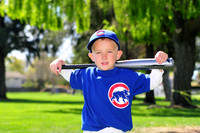 FMCubs008