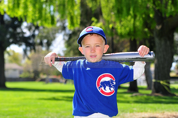 FMCubs008