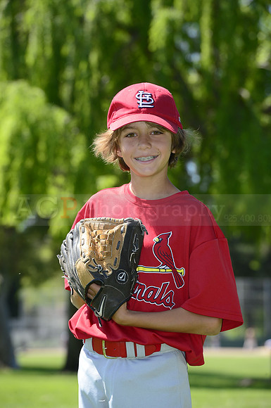 AAA Cards036