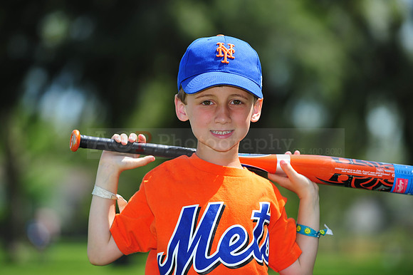 Farm_Mets086