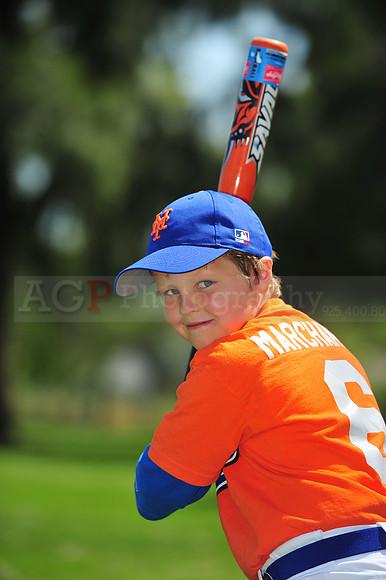 Farm_Mets053
