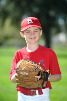 AA_Cardinals003