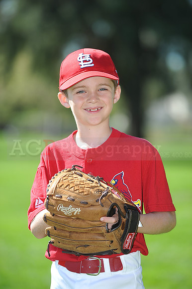 AA_Cardinals003