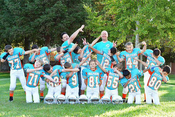 Dolphins123
