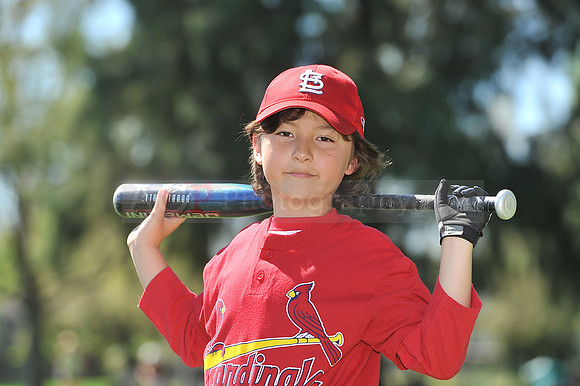 A_Cardinals083