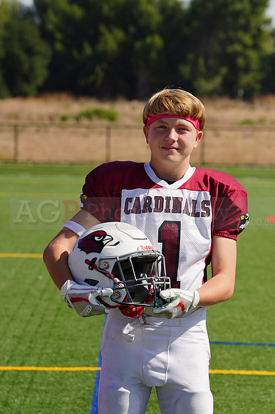 cardinals00029