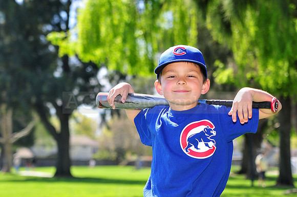 FMCubs003