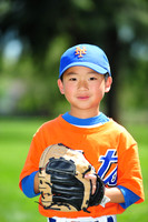 Farm_Mets008