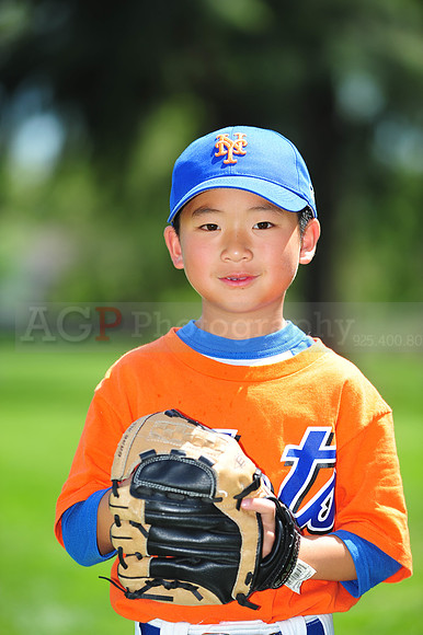 Farm_Mets008