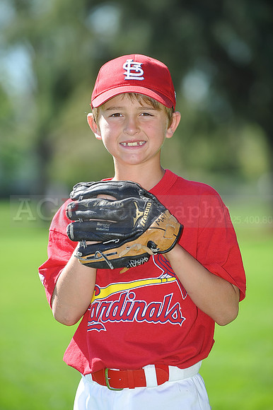AA_Cardinals070