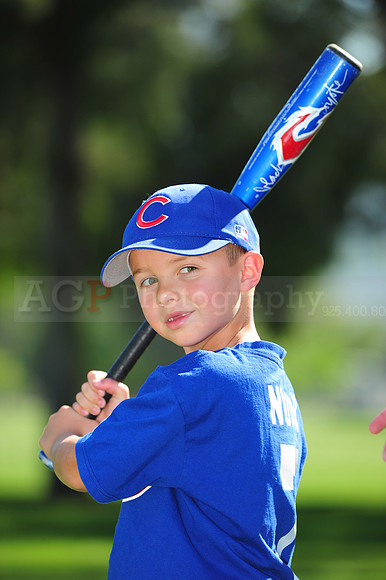 Farm_Cubs034
