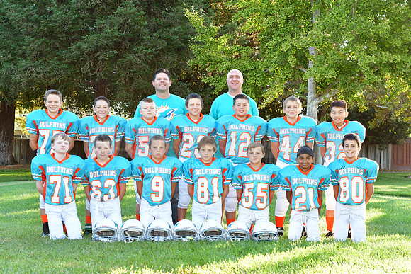 Dolphins120