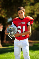 Falcons020