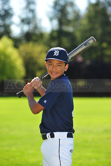 MTigers041