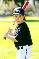 TBMarlins020