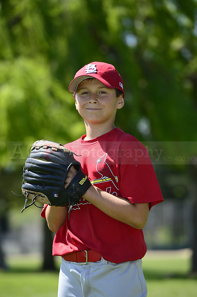 AAA Cards098