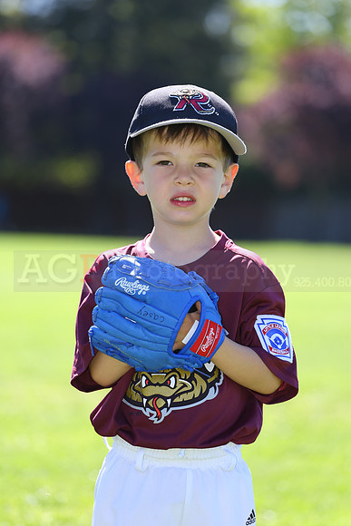 TBTimberRattlers055