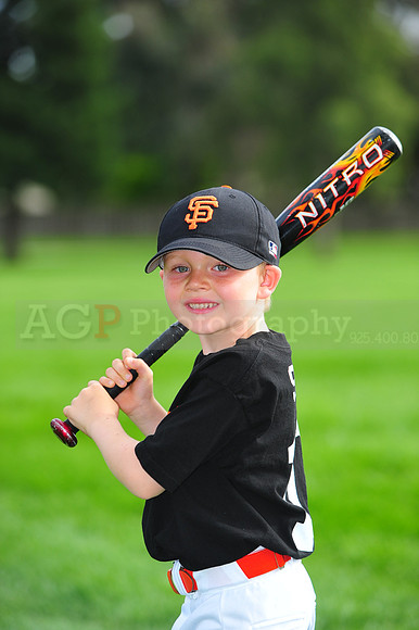 Farm_Giants148