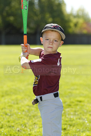 ATimberRattlers087