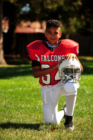 Falcons005