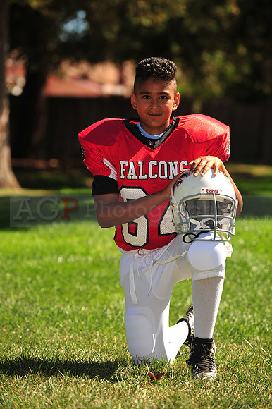Falcons005