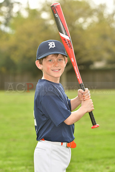 AATigers039