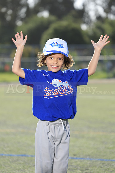 SB_TB_IronBirds021