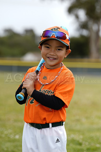 TBGrasshoppers00105