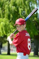 AAA Cards010
