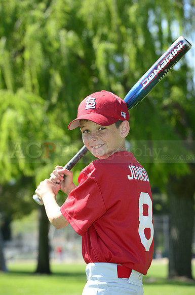 AAA Cards010